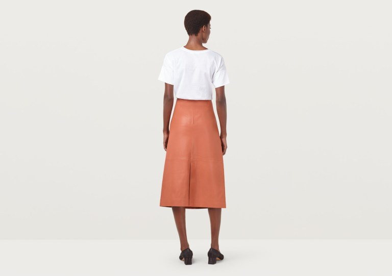 Finery Hector Rust Leather A-Line Skirt back view