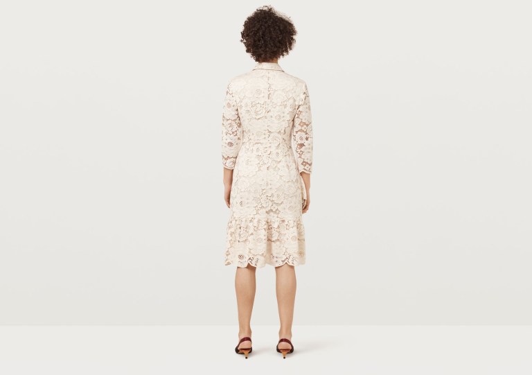 Finery London Sydall Fawn Frilled Hem Lace Dress back view