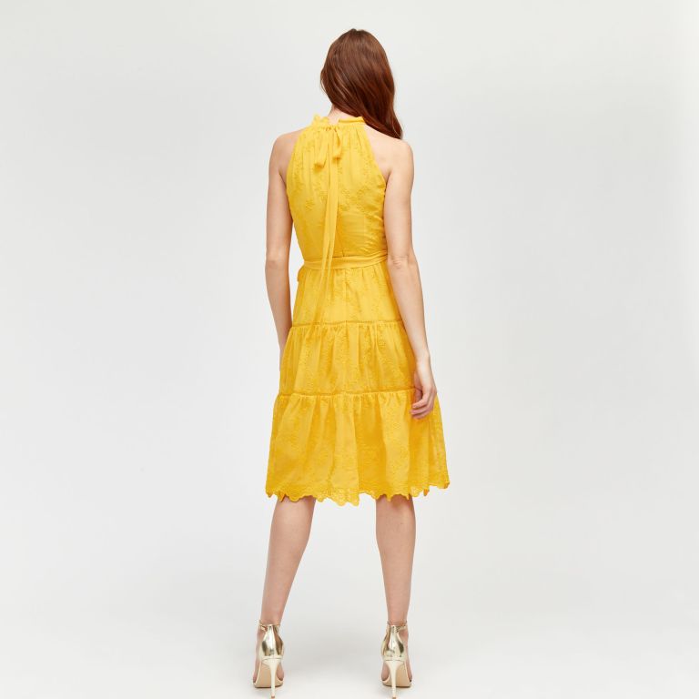 Warehouse Broderie Anglaise Dress back view