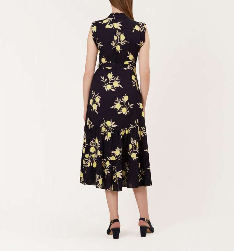 Hobbs Esme Dress back view