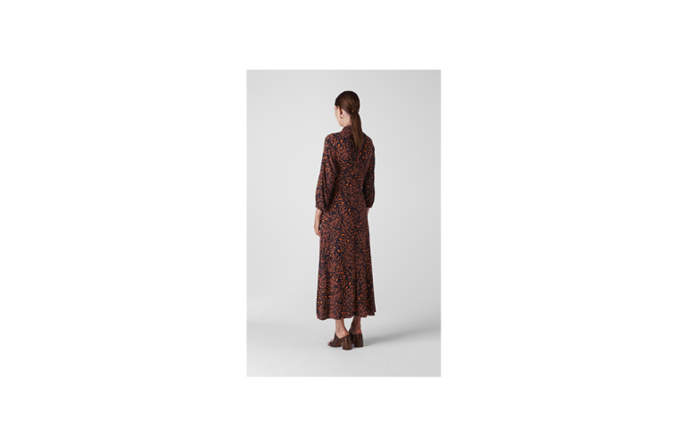 Whistles Amara Brushed Leopard Dress back view