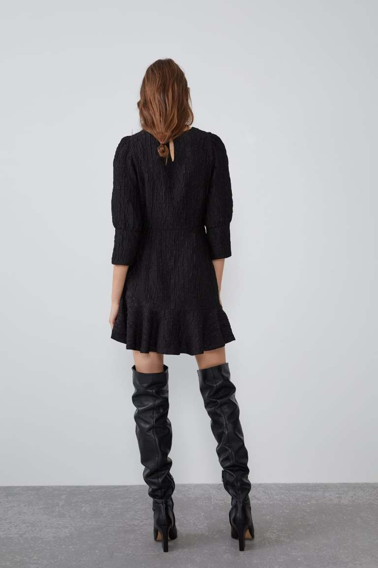 Zara Textured Dress back view