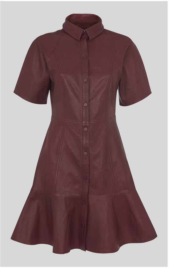 Whistles Leather Mini Dress v2