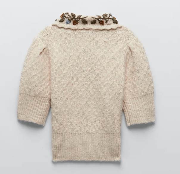 Zara Embroidered Knit Sweater back view