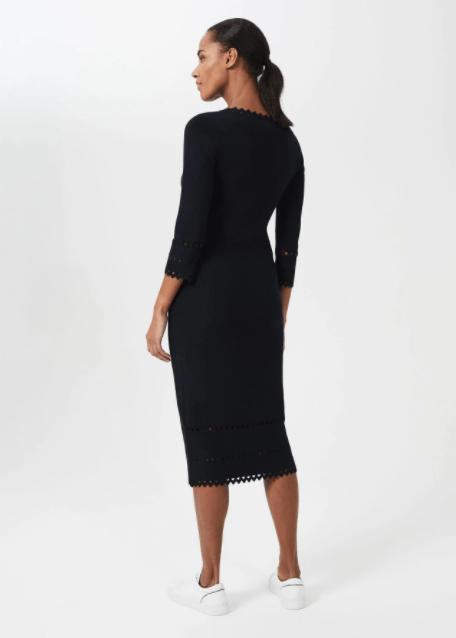 Hobbs Myra Knitted Dress back view