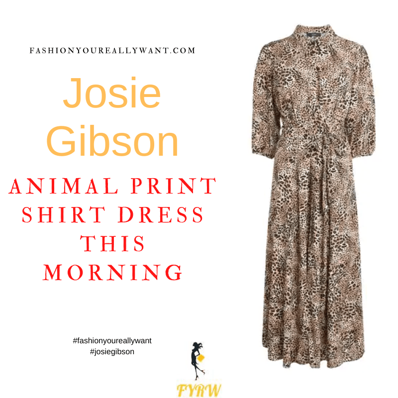 Where to get all Josie Gibson This Morning outfits dresses blog November 2021 mixed animal print shirt dress