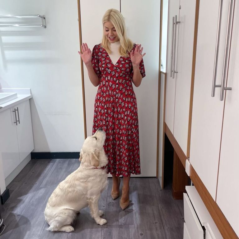 where to get all Holly Willoughby This Morning dresses red floral mid sleeve midi dress cream bodysuit nude suede court shoes 16 November 2022 Photo Holly Willoughby