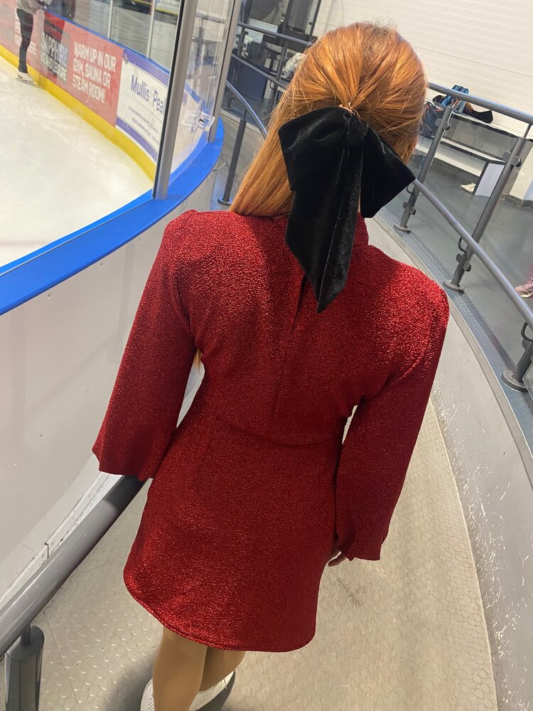 The Kerry Mini Sparkle Dress back view