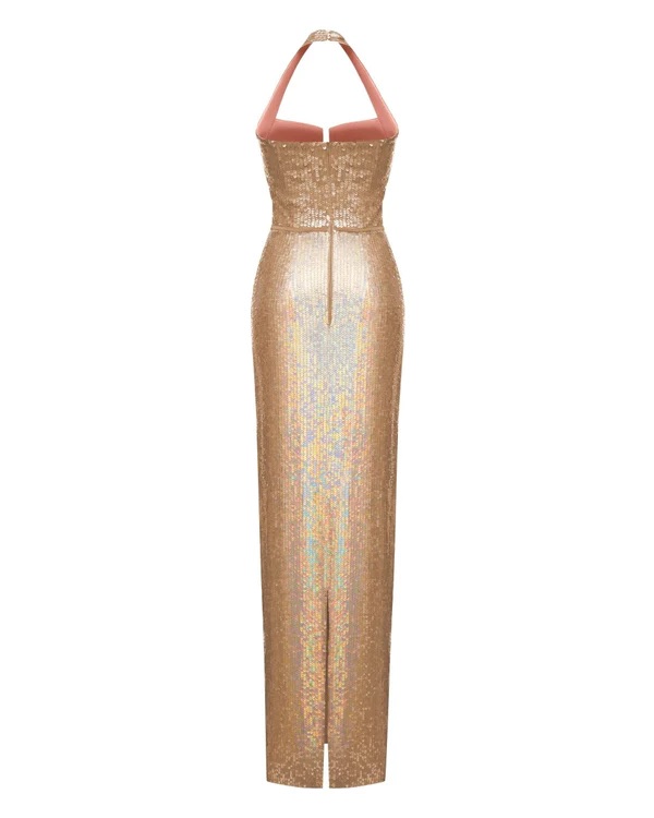 Rasario Sequined Maxi Dress With Cutout back view
