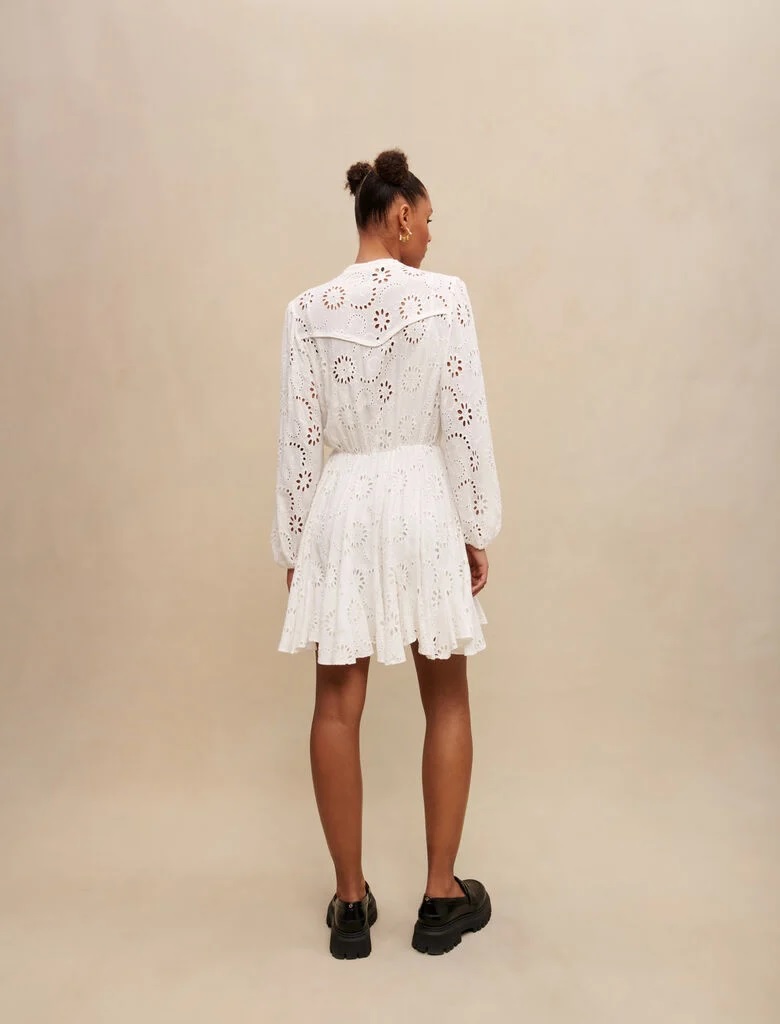 Maje Embroidered Ruffled Dress back view