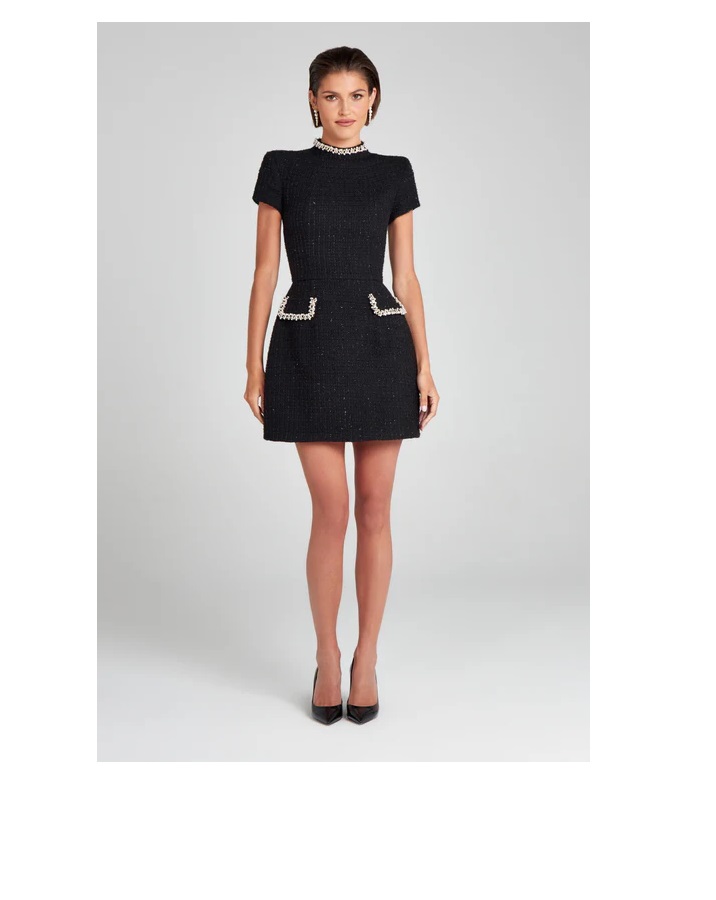 Nadine Merabi Simone Black Dress
