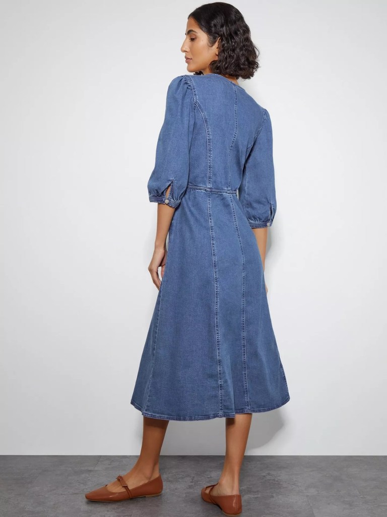 Monsoon Kaia Cornelli Dress back view