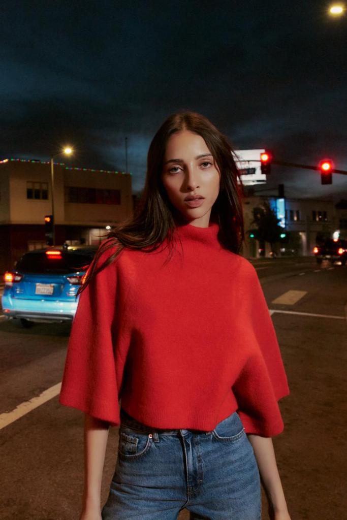 Zara Knit Wide Sleeve Jumper